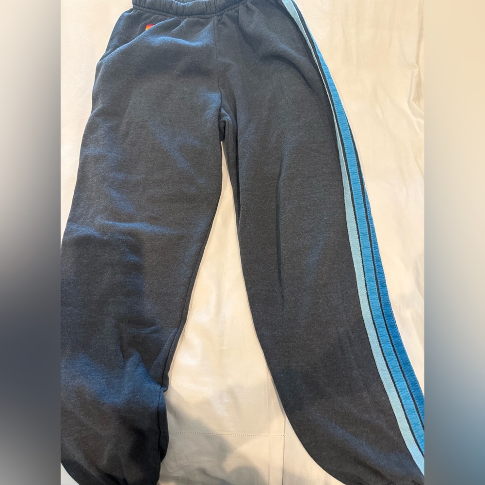 Aviator nation blue size small sweatpants